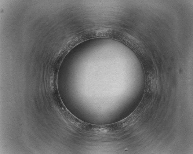 X0000064730698200602171642