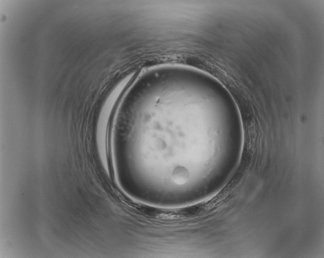 X0000064730699200602171642