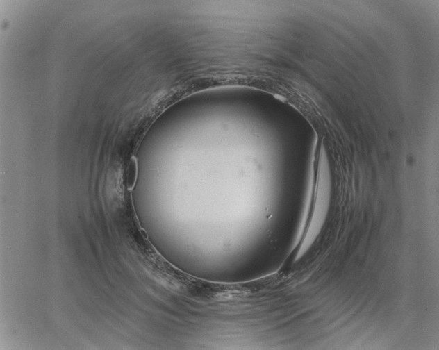 X0000064730700200602171642