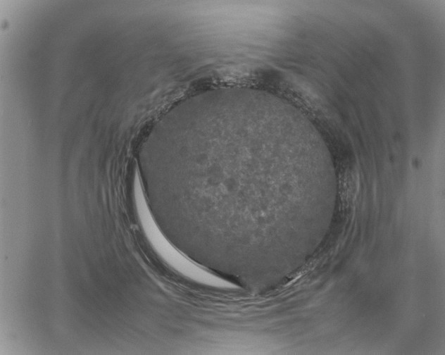 X0000064730703200602171642