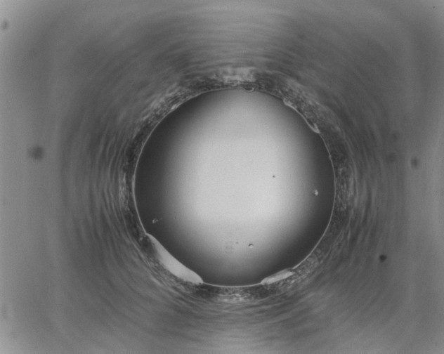 X0000064730704200602171642