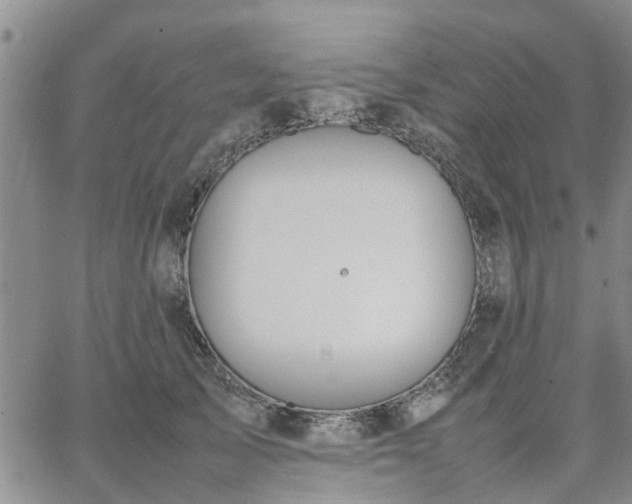 X0000064730705200602171642