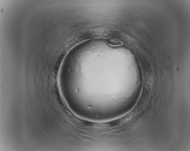 X0000064730707200602171642