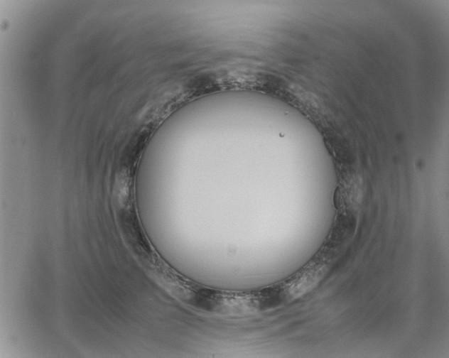 X0000064730709200602171642