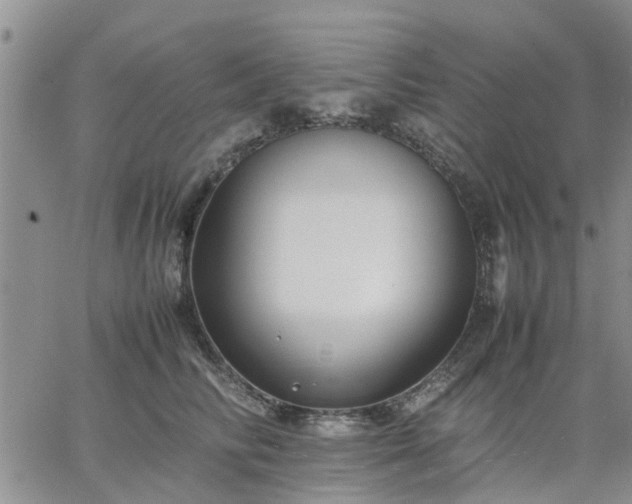 X0000064730710200602171642