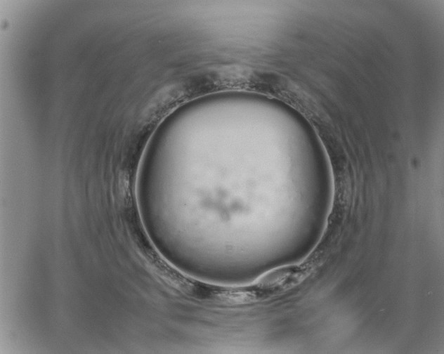 X0000064730711200602171642