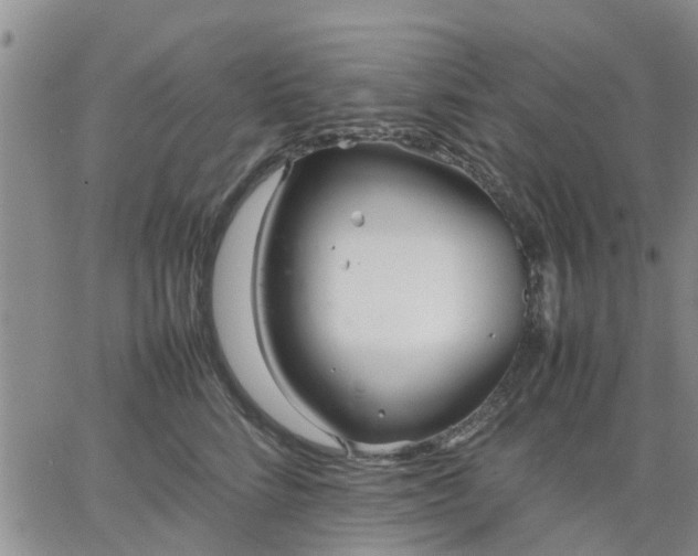 X0000064730712200602171642