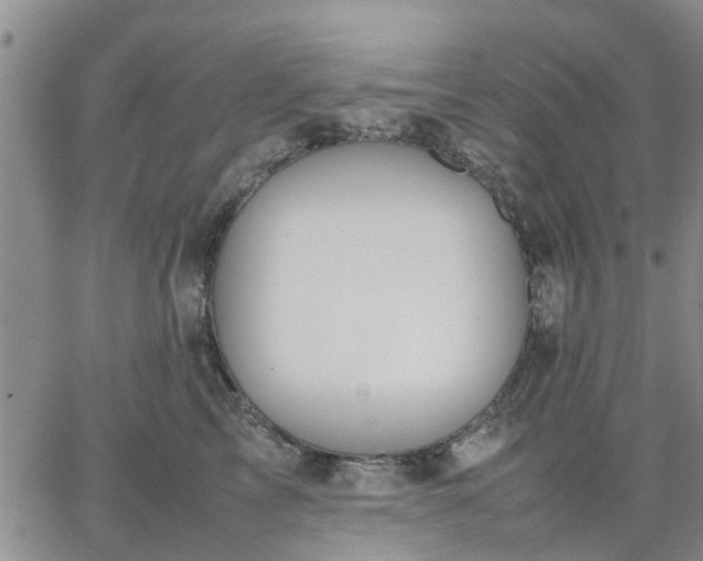 X0000064730713200602171642