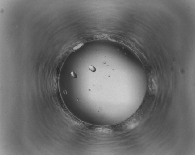 X0000064730714200602171642