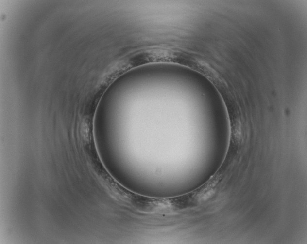 X0000064730715200602171642