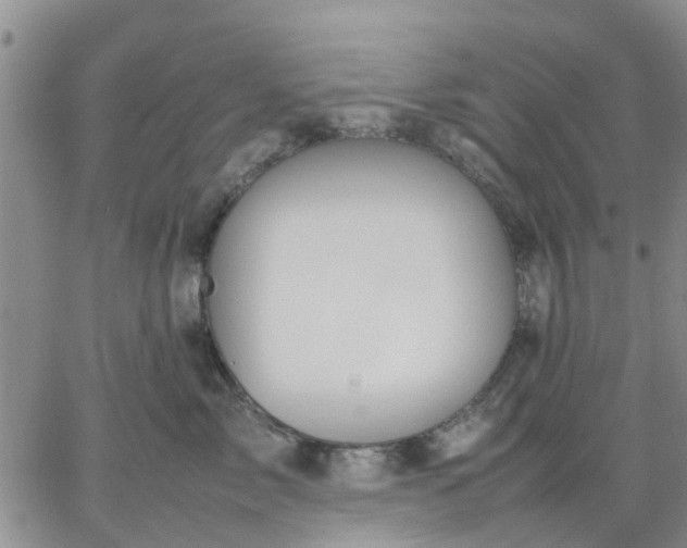 X0000064730717200602171642