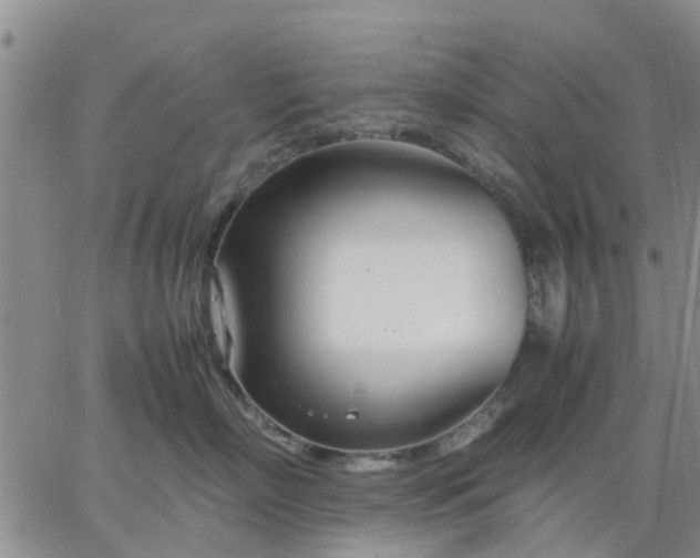 X0000064730718200602171642