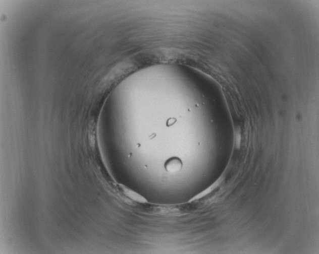 X0000064730719200602171641