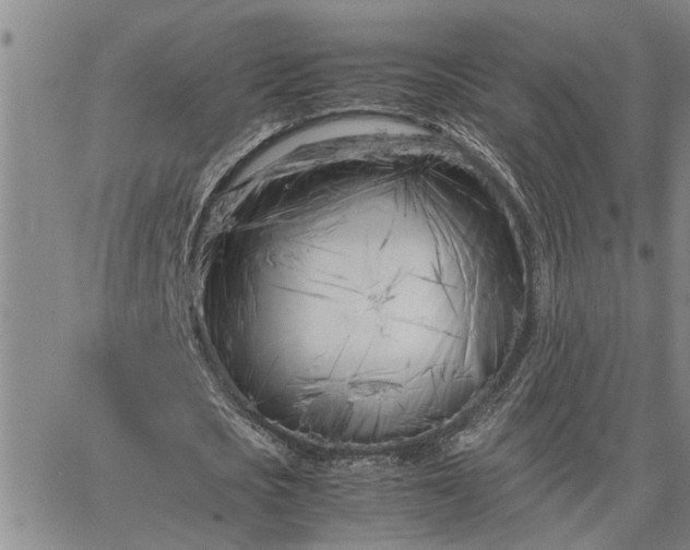 X0000064730721200602171641