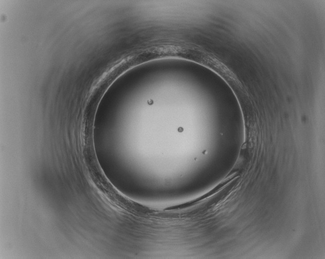 X0000064730722200602171641