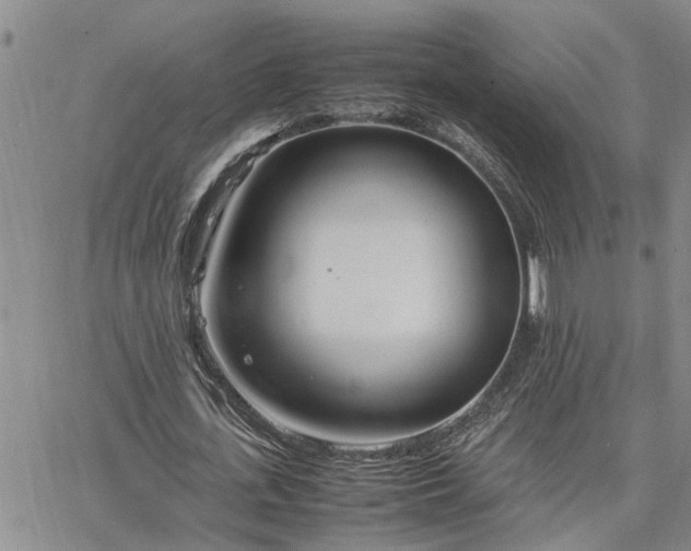 X0000064730723200602171641