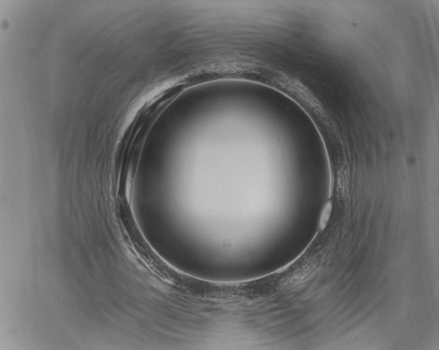 X0000064730724200602171641