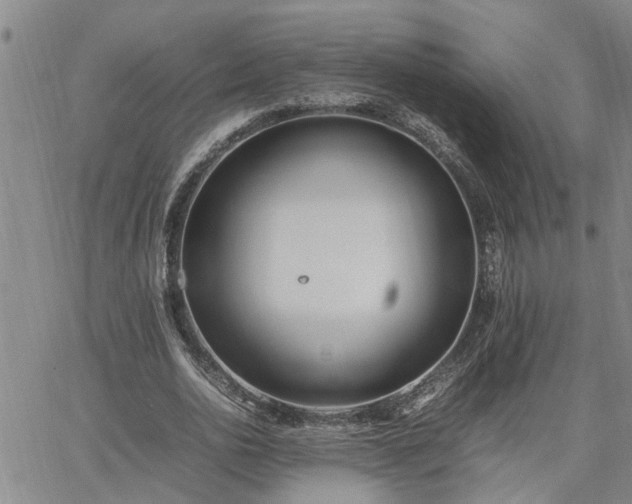 X0000064730726200602171641