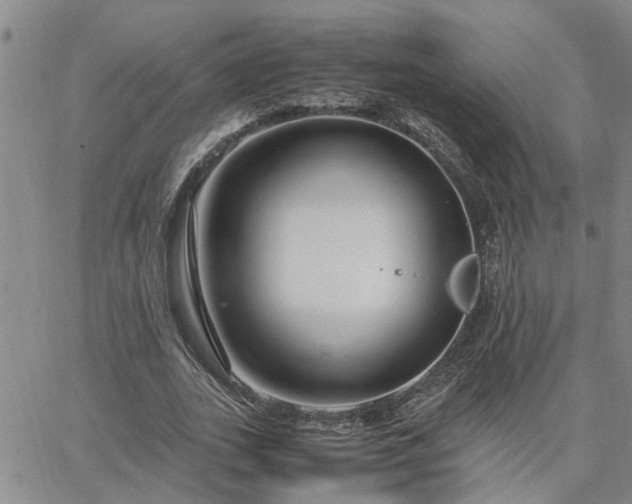 X0000064730727200602171641