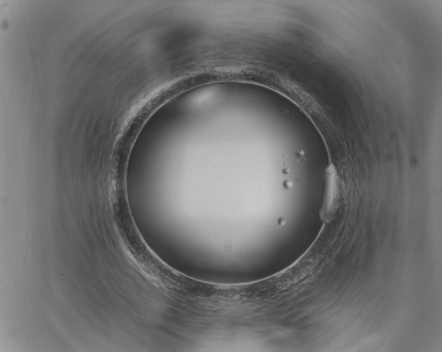 X0000064730728200602171641