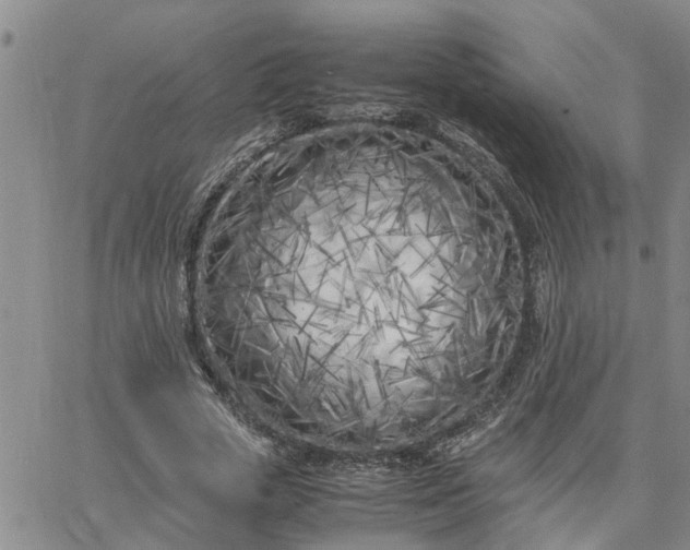 X0000064730729200602171641