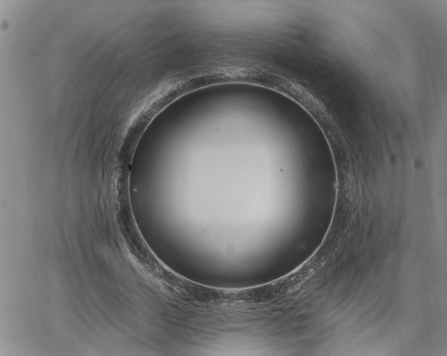 X0000064730730200602171641