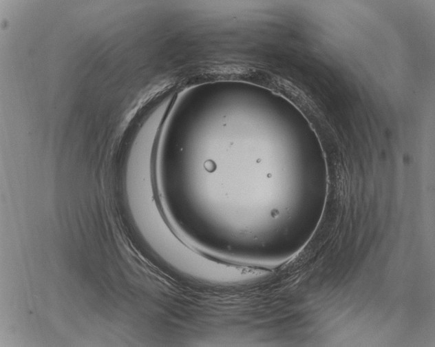 X0000064730731200602171641