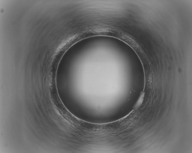 X0000064730732200602171641