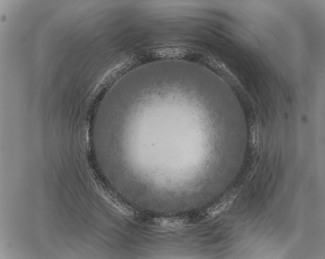 X0000064730733200602171641