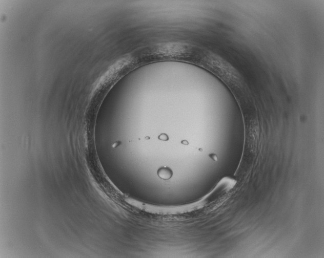 X0000064730734200602171641