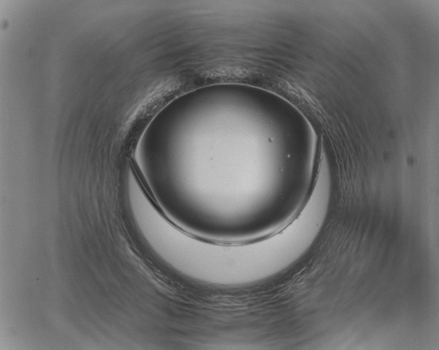 X0000064730735200602171641