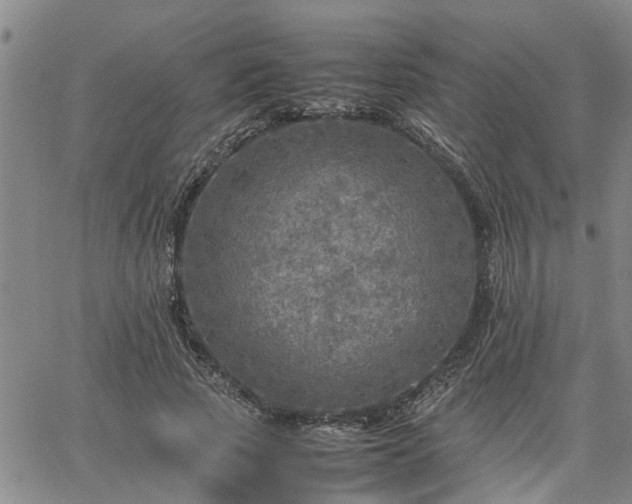 X0000064730737200602171641