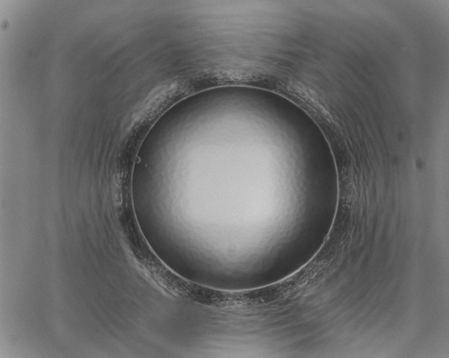 X0000064730738200602171641