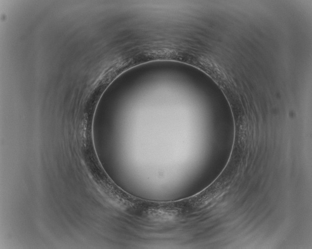 X0000064730739200602171641