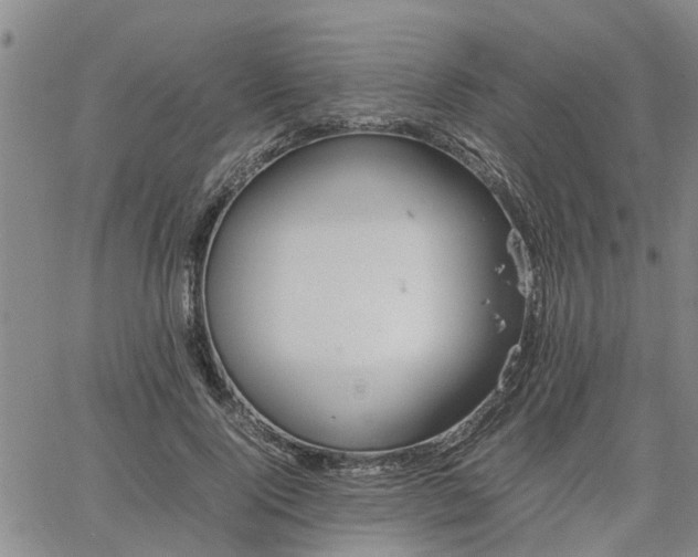 X0000064730740200602171641