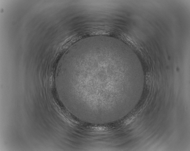 X0000064730741200602171641