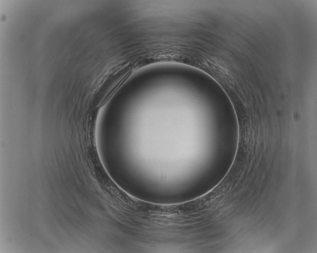 X0000064730743200602171641