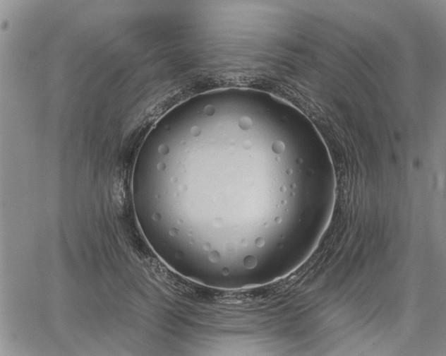 X0000064730746200602171641