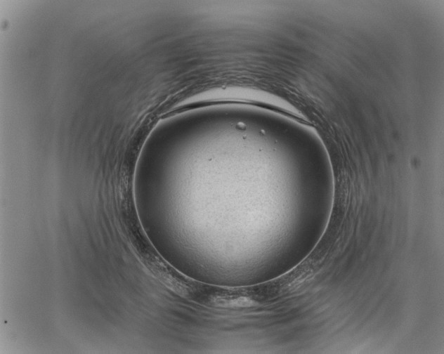 X0000064730747200602171641