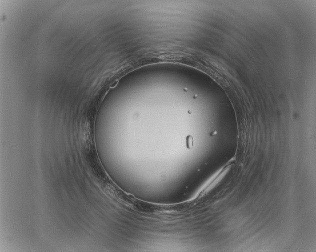 X0000064730748200602171641