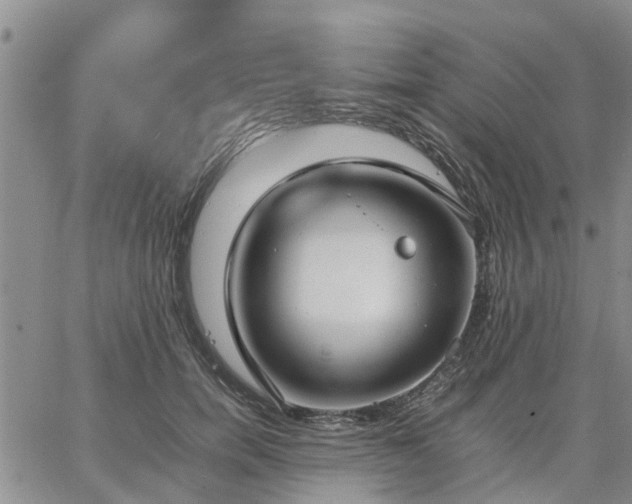 X0000064730750200602171641