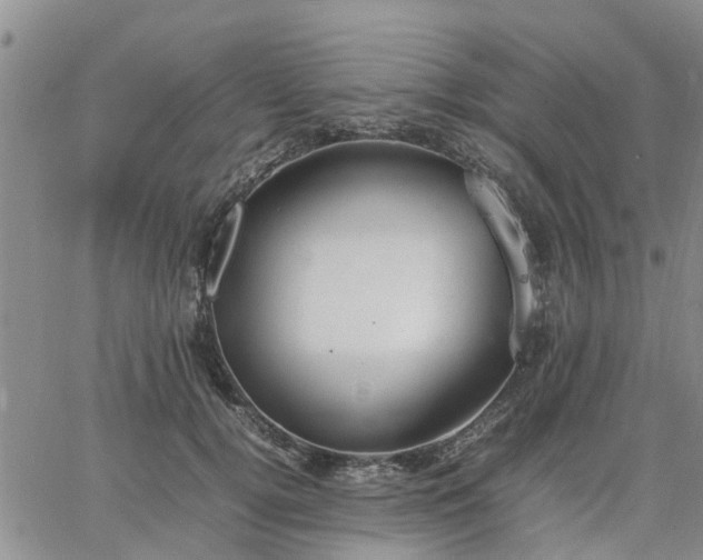 X0000064730752200602171641