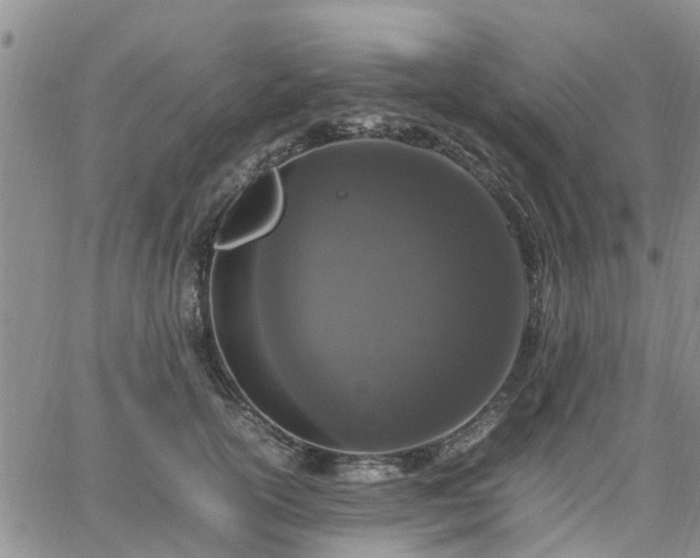 X0000064730754200602171641