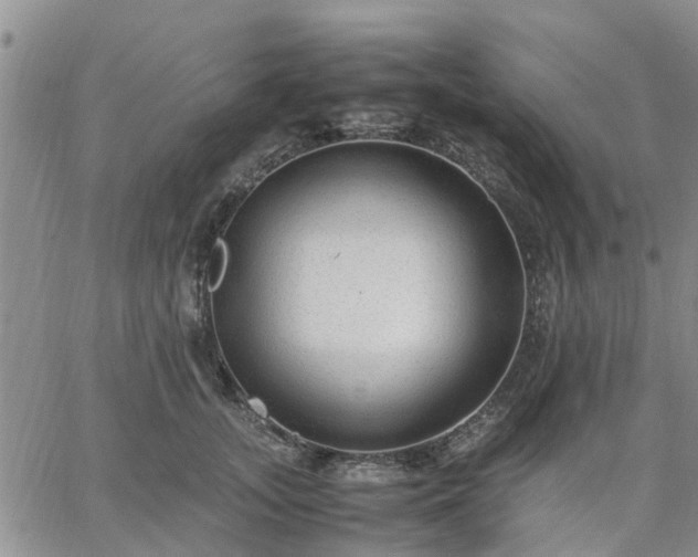 X0000064730755200602171641