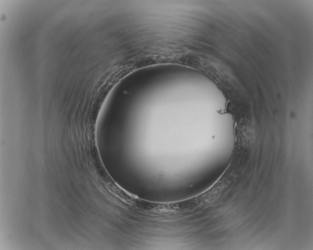 X0000064730756200602171641