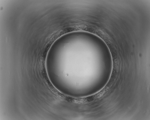 X0000064730757200602171641