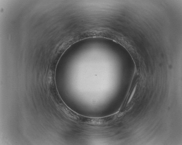 X0000064730758200602171641