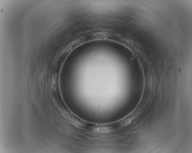 X0000064730759200602171641