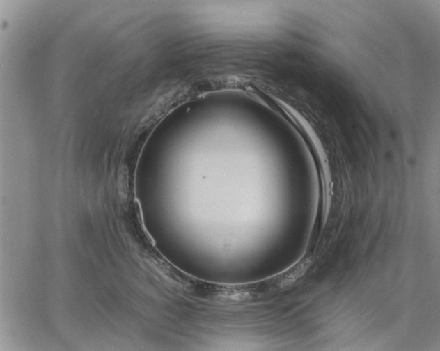 X0000064730760200602171641