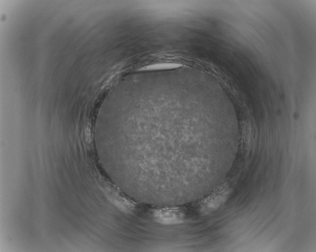 X0000064730761200602171641